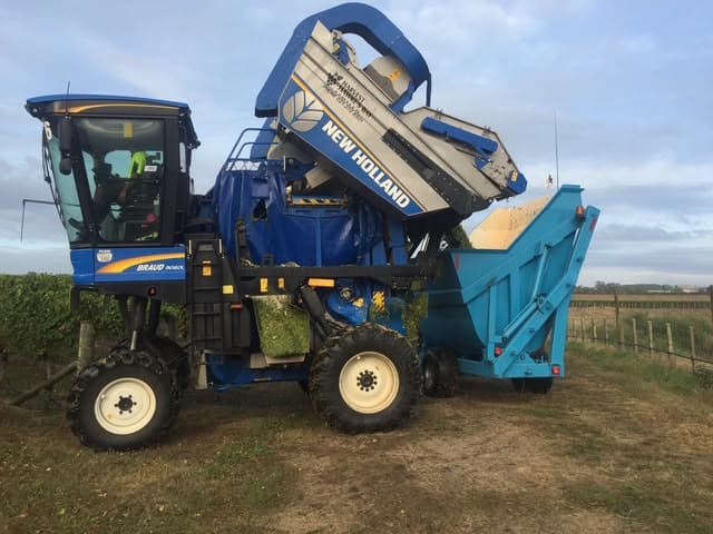 Blue grape harvester alongside vineyard rows