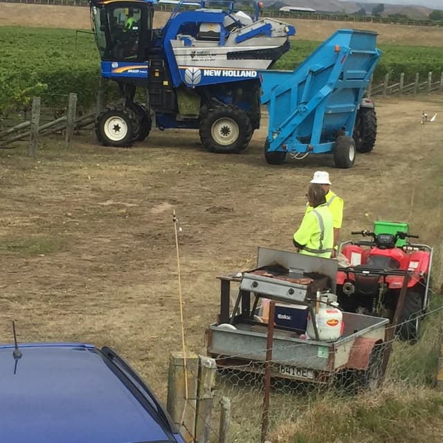 Harvest equipment and workers preparing beside vineyard rows