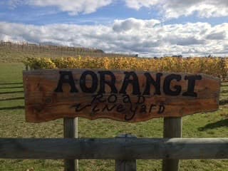 Wooden Aorangi Road Vineyard sign beside vines